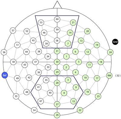 Distinguishing Old From New Referents During Discourse Comprehension: Evidence From ERPs and Oscillations